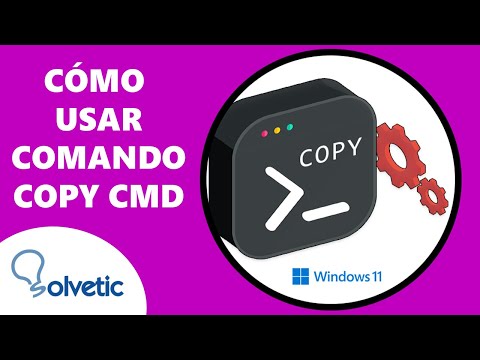 Cómo usar Comando FIND ✔️ CMD - Solvetic