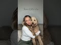 Believe me now?? #goldendoodle #dogs