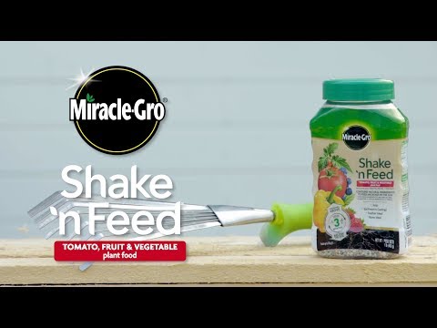 How to Harvest More Tomatoes, Fruits, and Vegetables Using Miracle-Gro® Shake 'n Feed