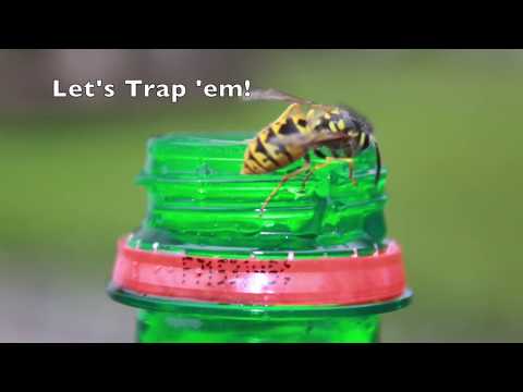 download lagu mp3 mp4 Trap Jacket, download lagu Trap Jacket gratis, unduh video klip Trap Jacket