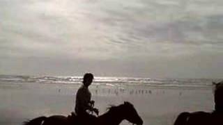 preview picture of video 'Horseback Riding in Long Beach, WA'