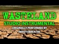 Wasteland (Cover Instrumental) [In the Style of ...