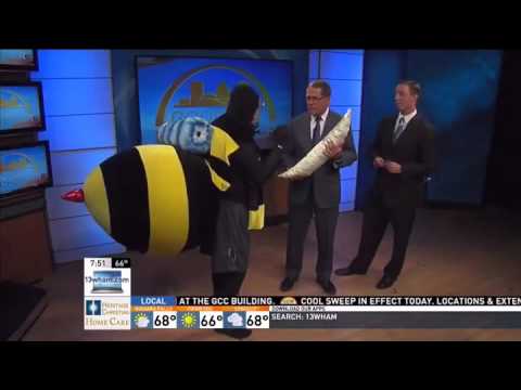 Makin' Larvae...a honey bee love story