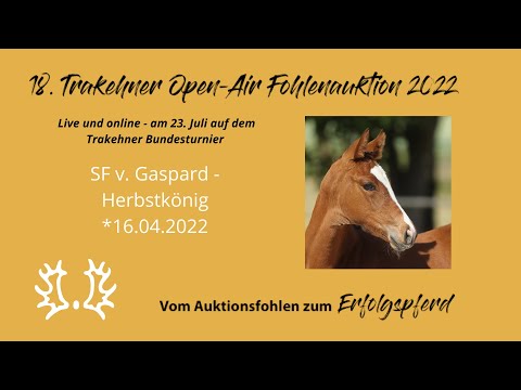 Kat.-Nr.19 SF v. Gaspard - Herbstkönig