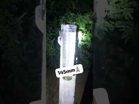 Muita Chuva em Florânia RN