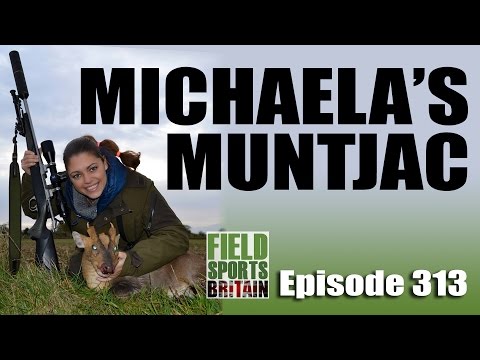 Fieldsports Britain – Michaela’s Muntjac
