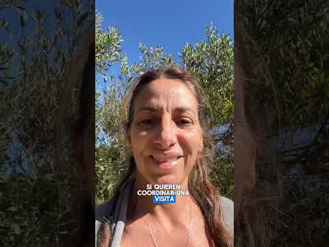Video de YouTube - Casa en Venta de 2 dormitorios con Parrillero y Jardín en Santa Ana , Canelones
