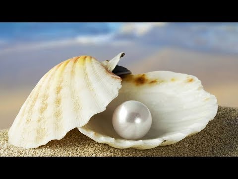 Почему Ночь Предопределения - Великий подарок от Аллаха?