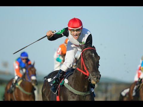 Longines Gran Premio Latinoamericano 2023 - Doutor Gaucho (Brz)