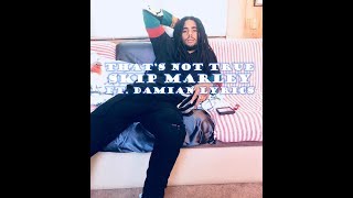 That&#39;s Not True - Skip Marley Ft. Damian Marley Lyrics