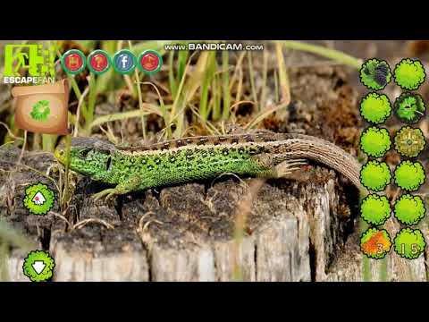 Return To Alsunga Forest walkthrough