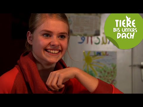 Pannen am Set - Die Outtakes der 5. Staffel | Tiere bis unters Dach