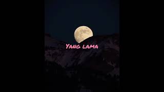 Download lagu STORY WA [ IPANG | TENTANG CINTA ] mp3