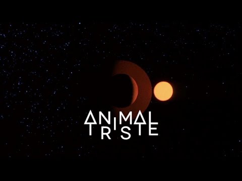 Animal Triste - All About (Clip Officiel)