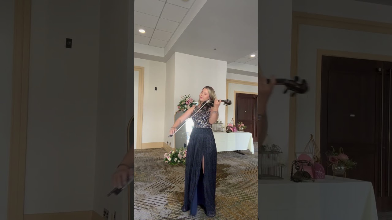 Promotional video thumbnail 2 for Electric violinist