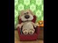 Talking Ben The Dog Muffin Man Song Par Talking Ben The Dog Muffin Man Song Par