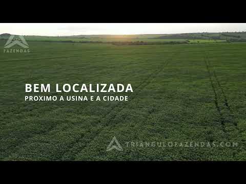 Fazenda a Venda em Ituiutaba - MG - Triangulo Mineiro - Minas Gerais