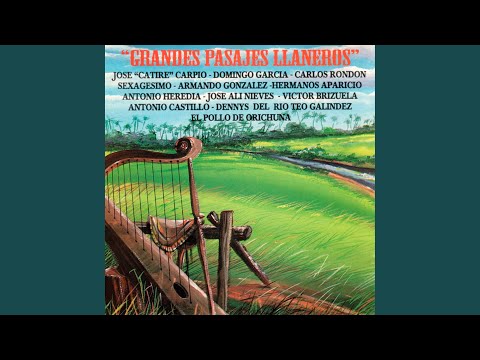 Adiós Paso Real De Apure