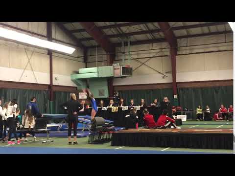 Double Mini Trampoline Level 3