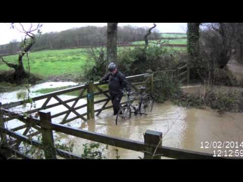 Cychodog Bideford to Tavistock 2014