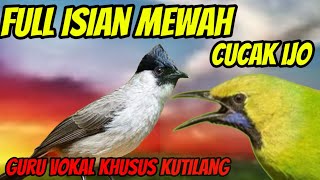 Download lagu kutilang gacor full isian cucak ijo, guru vokal khusus kutilang mp3 Download lagu kutilang gacor full isian cucak ijo, guru vokal khusus kutilang mp3