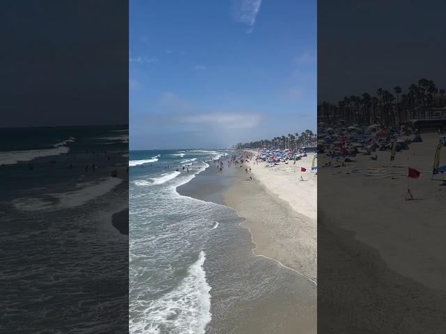 Vídeo relacionado con Oceanside California Tropical Beach Vacaciones Camiseta