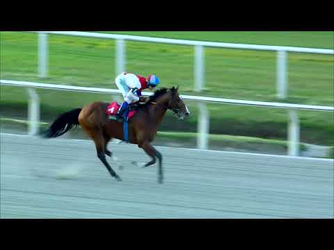 220923 c04 BUEN PALO