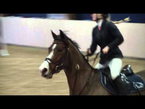 Apache Sunrice Ratsastuskeskus Aino 23.1.2016