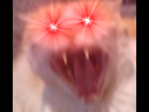 osu! Relax Diary [ 311 BPM ] : Holy shit.