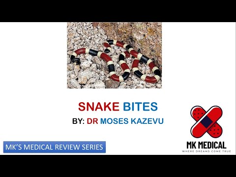 Snake bites