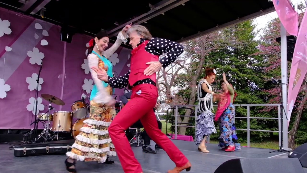 Promotional video thumbnail 1 for Flamenco Bravo!