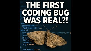 Bugs coding | Real background story