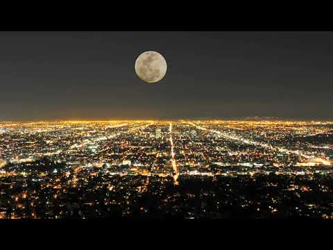 Distant Dream - Sense Of Calm