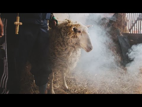 Krankšvester - Slava (Official Video) 4K