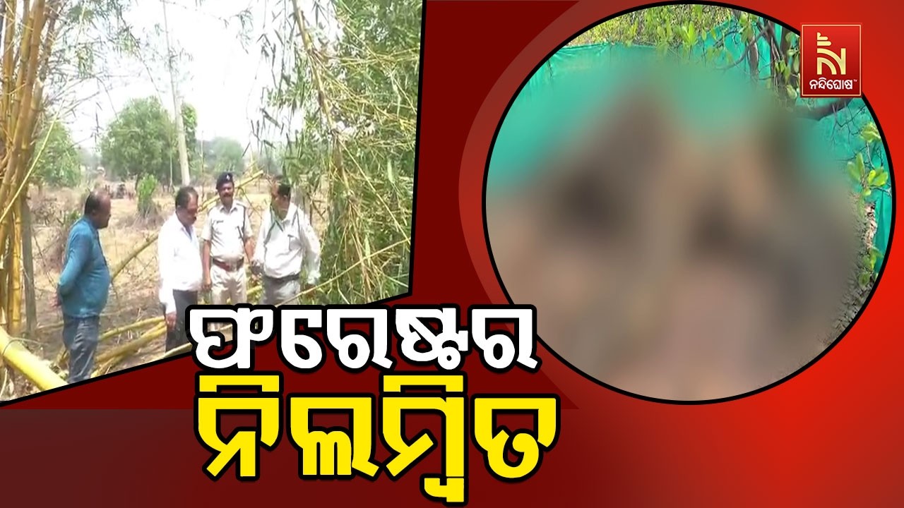 ବଲାଙ୍ଗୀର ଚାନୁଟମାଲ ହାତୀ ମୃତ୍ୟୁ ମାମଲା ; ଫରେଷ୍ଟର ନିଲମ୍ବ