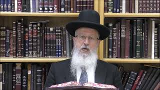 הגאון הרב אברהם יוסף שליט"א מה יעשה אדם שטעה באמירת ביעלה ויבוא וסיים את התפילה (הרב אברהם יוסף) - התמונה מוצגת ישירות מתוך אתר האינטרנט יוטיוב. זכויות היוצרים בתמונה שייכות ליוצרה. קישור קרדיט למקור התוכן נמצא בתוך דף הסרטון