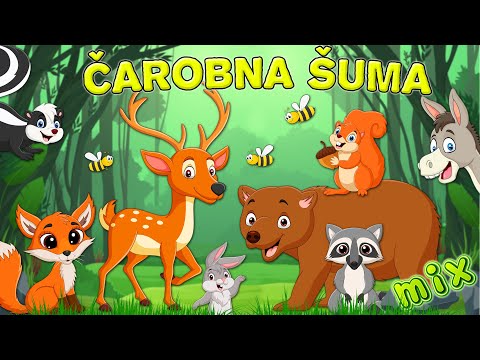 Čarobna šuma MIX | Najlepše pesme za decu | Odabrane dečije pesmice | Muzika za bebe | Pesme MIX