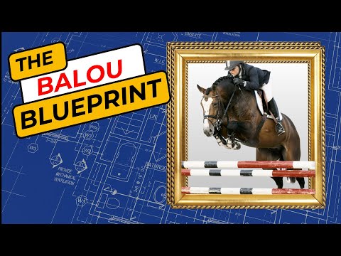 The secrets behind BALOU du ROUET's popularity as a Hunter/Jumper sire.