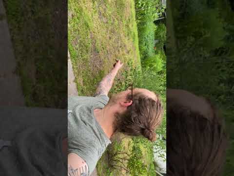 Vlog# 8 Die Pflanzsäcke sind da!