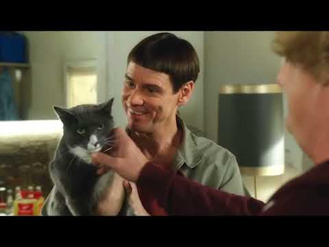 Butthole - Dumb And Dumber To. Remastered [HD]