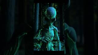 Alien Forest Serenade