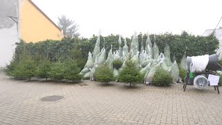 Bőséges a kínálat