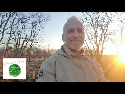 Harmónia Tanya - Mélymulcsos vetemény