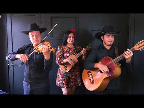 (EVTH2) Trío Tres En Línea - Ándale Pancho (Huapangos Originales)