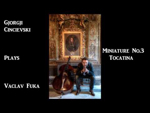 Gjorgji Cincievski plays Vaclav Fuka : Miniature No.3 Tocatina