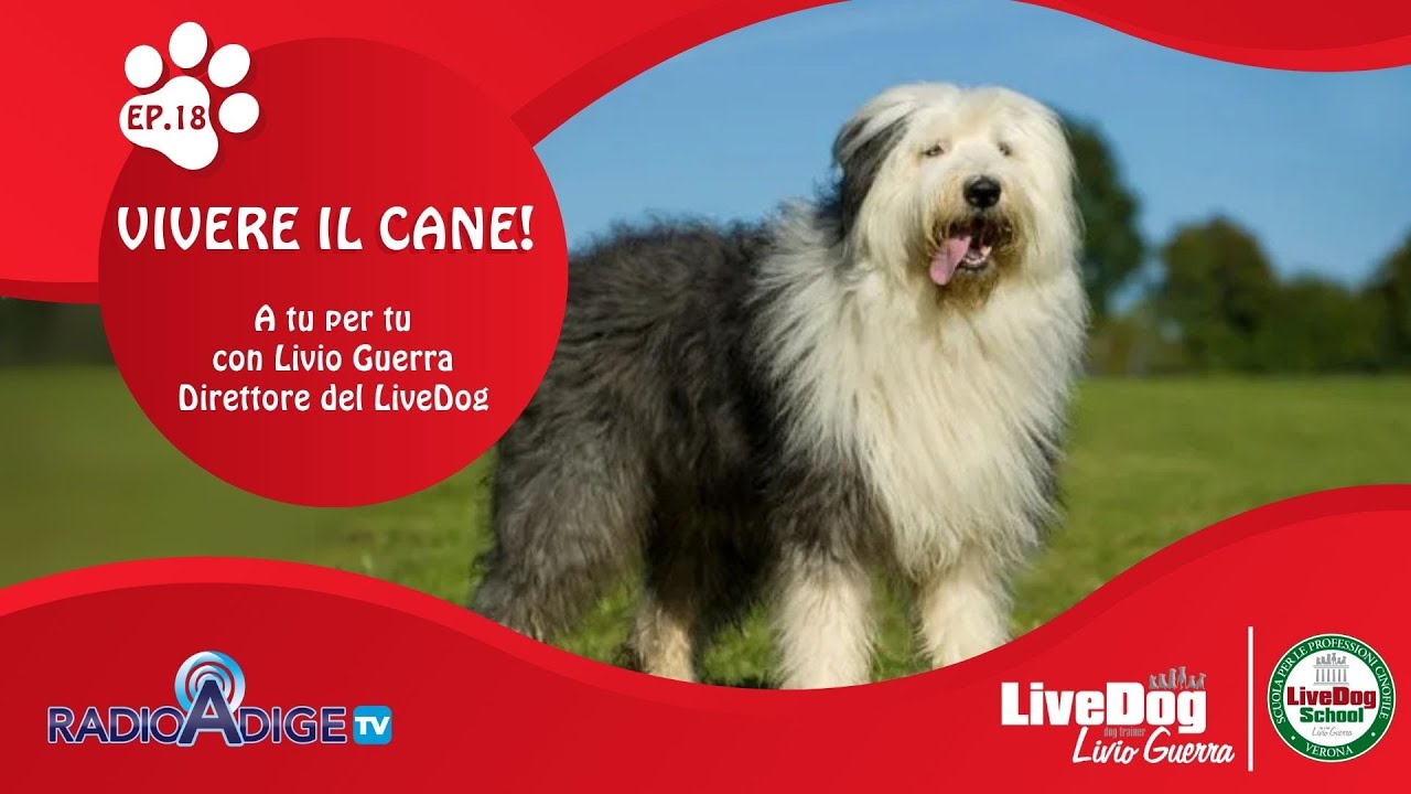 Descrizione dell'immagine