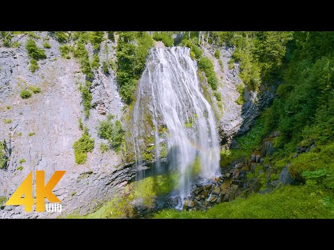3 HOURS Nature Ambience & Waterfall Sounds to Relax - 4K Scenic Narada Falls, Mount Rainier NP