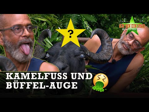 Finale Dschungelprüfung für PIERRE ⭐​| Dschungelcamp 2025