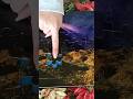 The Last Piece 🧩 Oddly Satisfying Jigsaw Puzzle Challenge