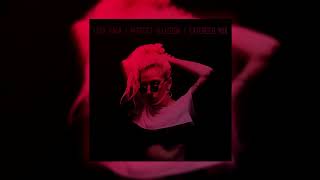 Lady Gaga - Perfect Illusion (Extended Mix) *DL Link*